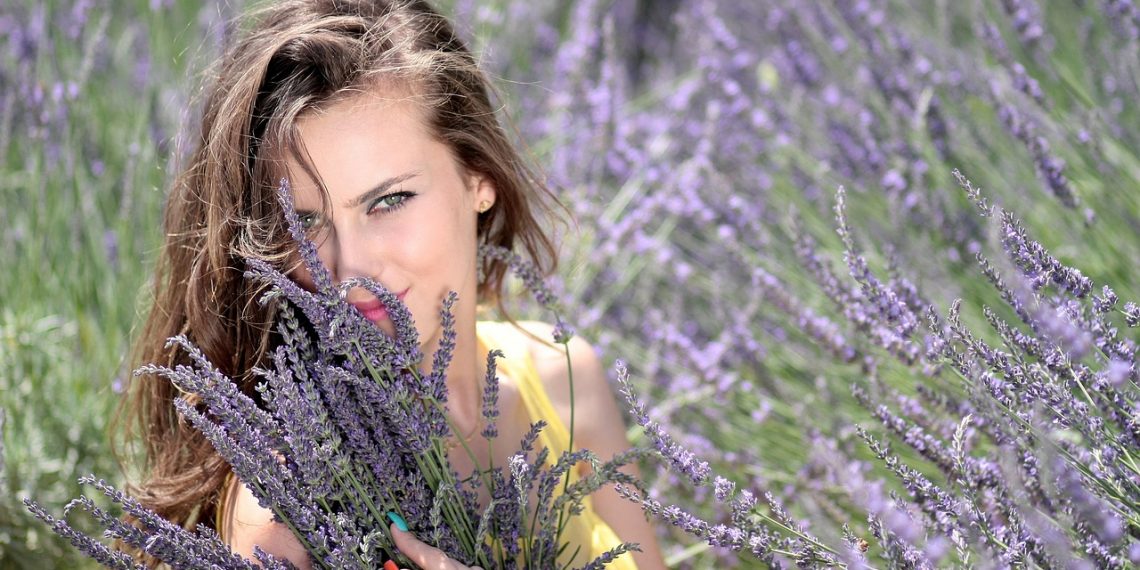 Woman in a lavender field holding fresh lavender blossoms.