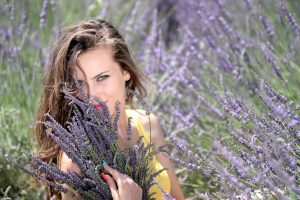 Woman in a lavender field holding fresh lavender blossoms.