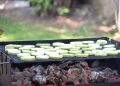 Grilling zucchini slices over hot coals.