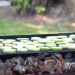 Grilling zucchini slices over hot coals.