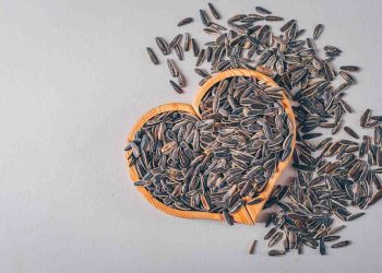 Sunflower seeds in a heart-shaped bowl scattered on a table.