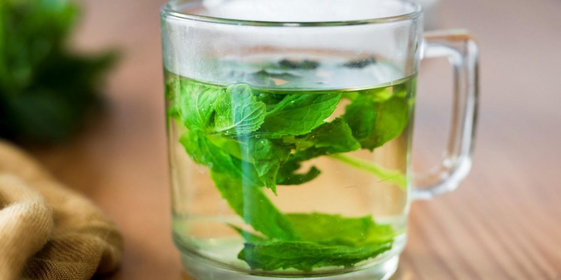 Fresh mint leaves steeping in a glass of herbal tea.