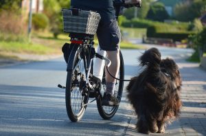 Cyclist riding with a dog on a leash along a suburban path.