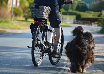 Cyclist riding with a dog on a leash along a suburban path.