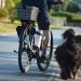 Cyclist riding with a dog on a leash along a suburban path.