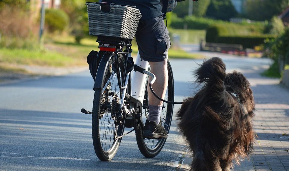 Cyclist riding with a dog on a leash along a suburban path.