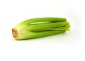 Fresh celery stalks isolated on white background.