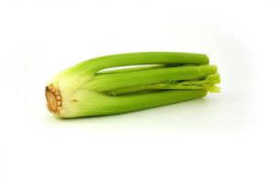 Fresh celery stalks isolated on white background.