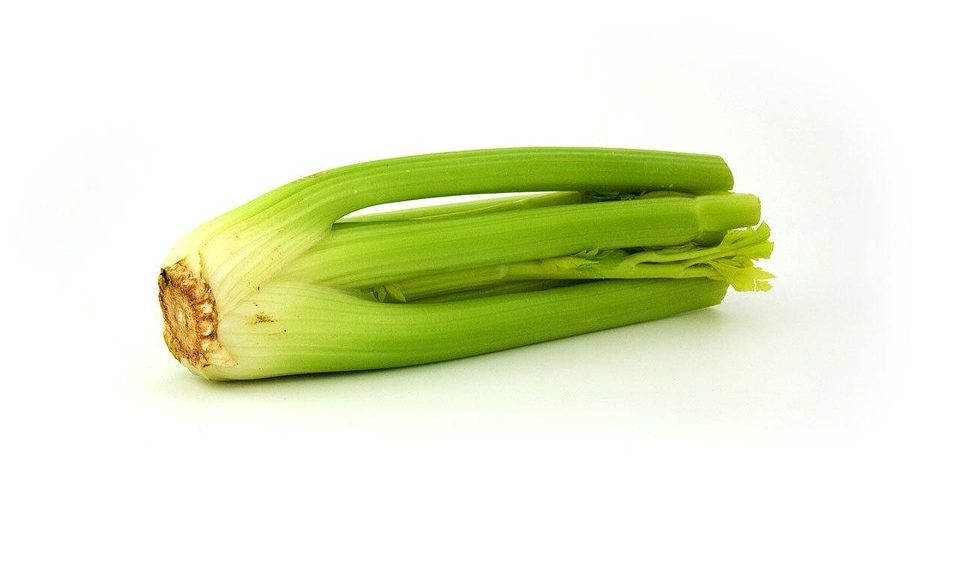 Fresh celery stalks isolated on white background.