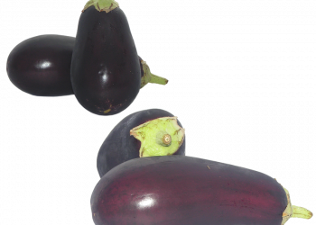Cluster of fresh eggplants on white background.