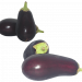Cluster of fresh eggplants on white background.