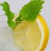 Lemon slice and mint garnishing a refreshing drink.