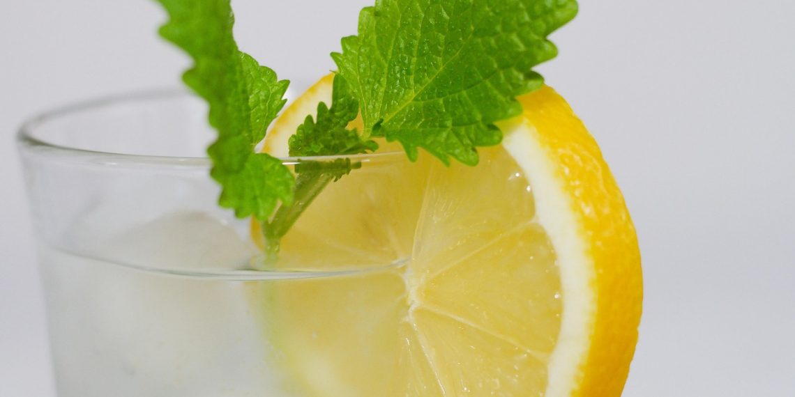Lemon slice and mint garnish on a refreshing iced drink.