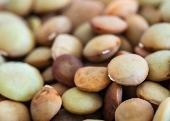 Lentils in close-up focus showing texture and color variations.