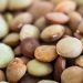 Lentils in close-up focus showing texture and color variations.