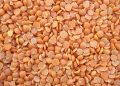Red lentils scattered in a pile, showcasing their texture and vibrant color.