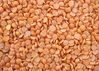 Red lentils scattered in a pile, showcasing their texture and vibrant color.