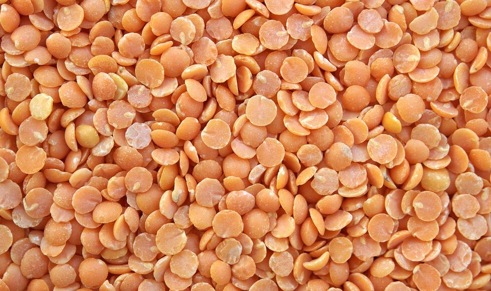 Red lentils scattered in a pile, showcasing their texture and vibrant color.