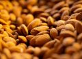 Whole almonds in a close-up shot showcasing texture.