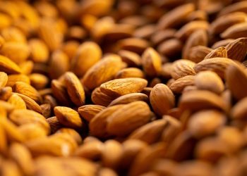 Whole almonds in a close-up shot showcasing texture.