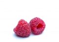Two fresh raspberries on a white background.