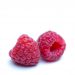 Two fresh raspberries on a white background.