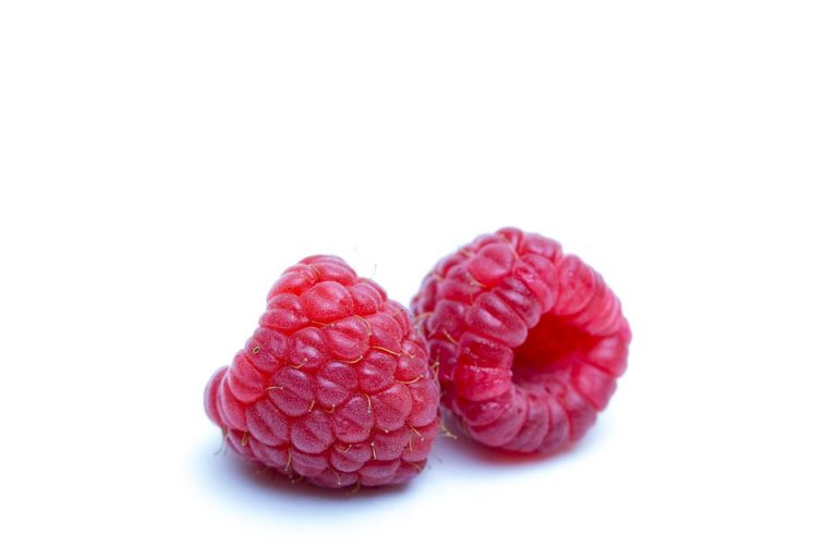 Two fresh raspberries on a white background.