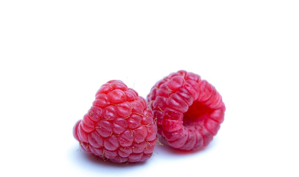 Two fresh raspberries on a white background.