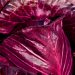 Purple cabbage leaves with rich texture and vivid color.