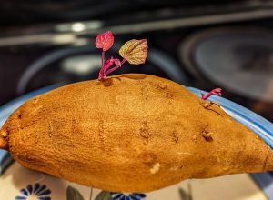 Sprouting sweet potato with vibrant leaves on plate.