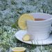 Warm ginger lemon tea cup in snowy garden setting.