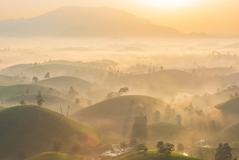 Misty sunrise over rolling green hills in a tranquil landscape.