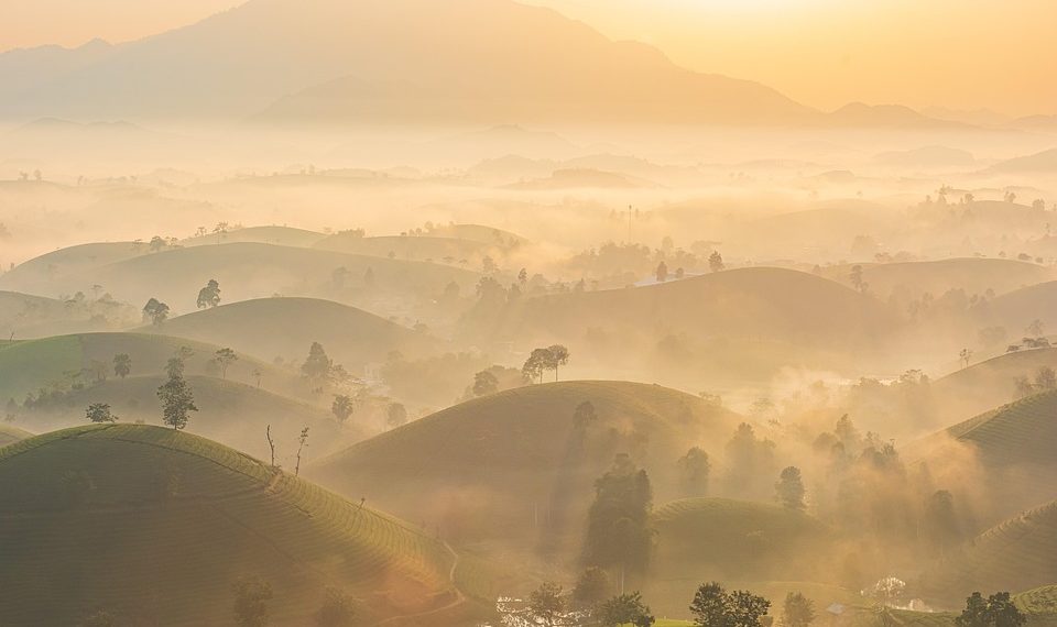 Misty sunrise over rolling green hills in a tranquil landscape.