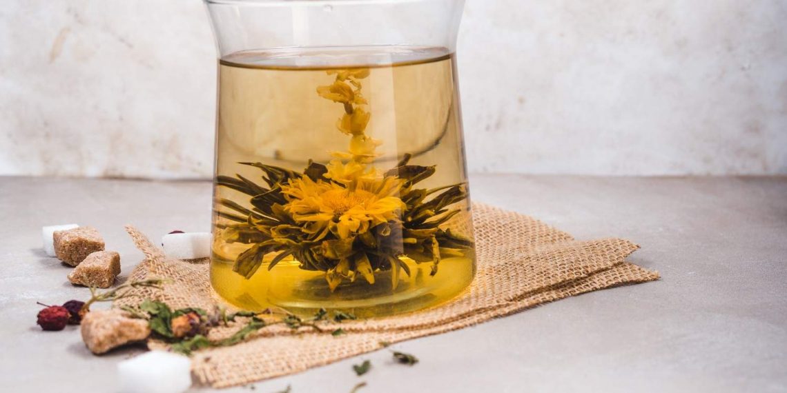 Blooming tea flower in a glass with sugar cubes and herbs scattered around.