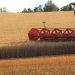 Combine harvester working in a golden wheat field.