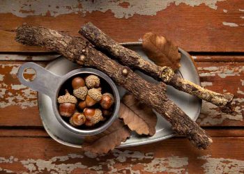 Acorns and twigs on a rustic wooden table.