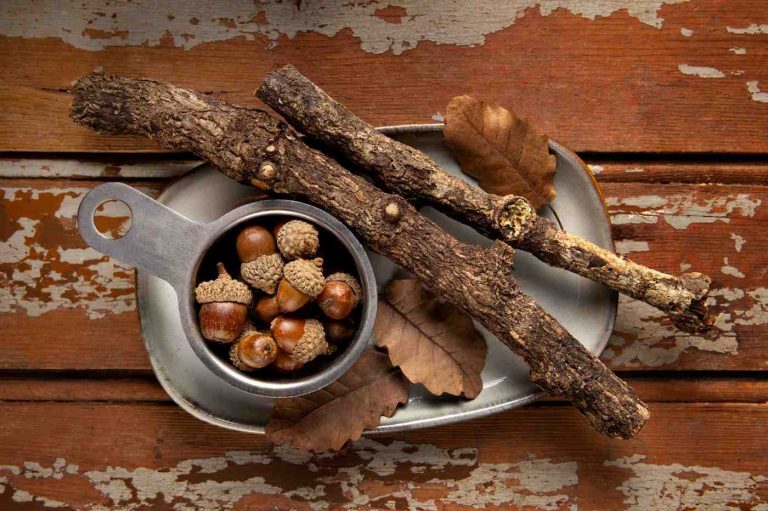 Acorns and twigs on a rustic wooden table.