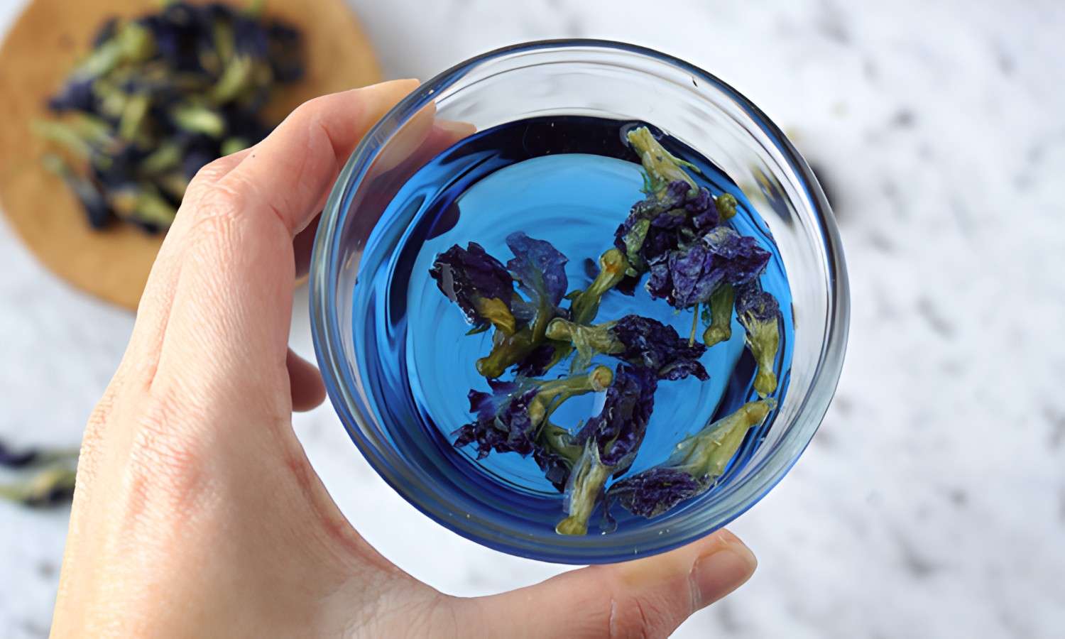 Hand holding a glass of vibrant blue butterfly pea flower tea.