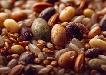Assorted grains and seeds in a close-up, showcasing natural textures.