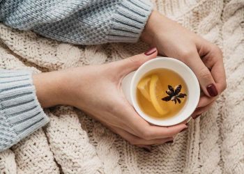 Hands holding a cup of warm tea with lemon and spice on a cozy knit blanket.