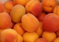 Fresh ripe apricots in a heap display vibrant orange hues.