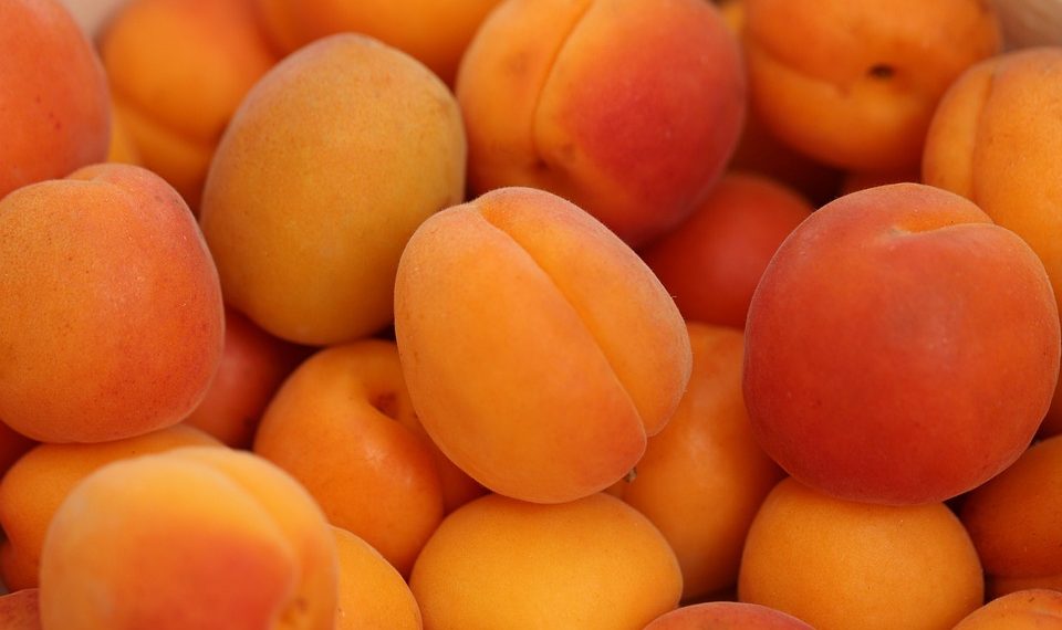 Fresh ripe apricots in a heap display vibrant orange hues.