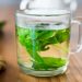Fresh mint leaves steeping in a glass cup of herbal tea.