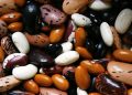 Various colorful beans, showcasing diverse varieties.