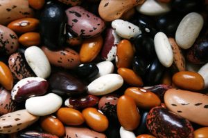 Various colorful beans, showcasing diverse varieties.