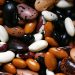 Various colorful beans, showcasing diverse varieties.