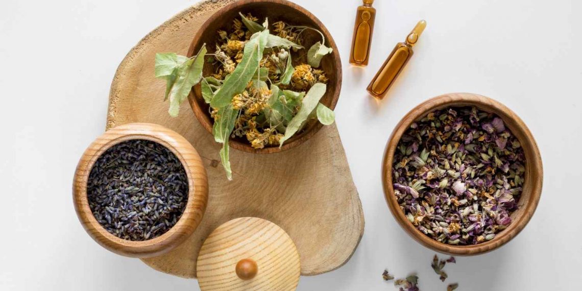 Dried herbs and essential oils in wooden bowls for aromatherapy.