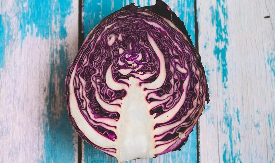 Sliced red cabbage on rustic blue wooden background.