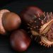 Acorns and spiky chestnuts on a dark surface.