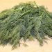Fresh cut dill herbs on a kitchen counter